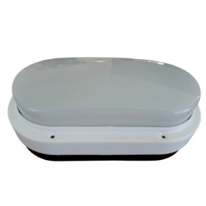 Tortuga blanca con aro  [UM 1u | 20u]