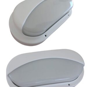 Tortuga blanca con visera  [UM 1u | 20u]