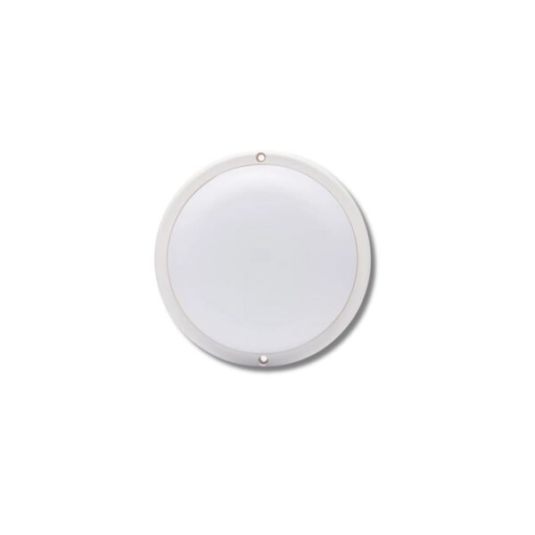Tortuga redonda 8w Sica blanca  [UM 1u | 5u | 40u]