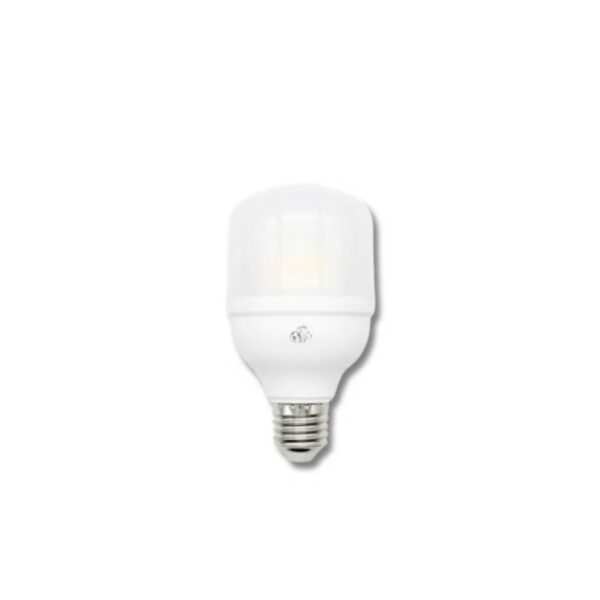 Lampara led high power 30w fria Light Lion  [UM 1u | 60]