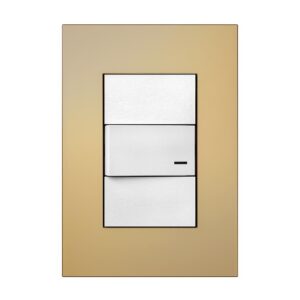 Tapa Platinum 10x5 champagne  [UM 1u | 50u | 150u]